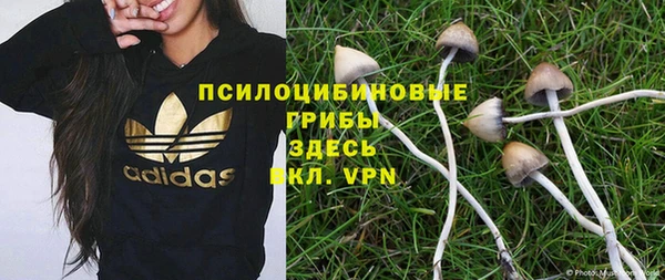 COCAINE Богородск