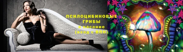 COCAINE Богородск