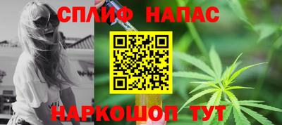 индика Пугачёв