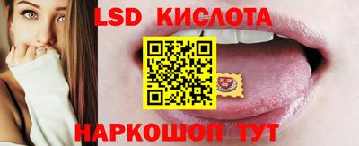 прущие грибы Ярославль