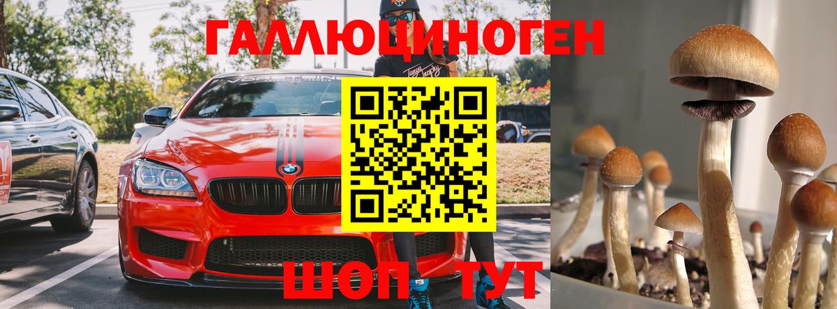 Галлюциногенные грибы GOLDEN TEACHER  Псилоцибиновые грибы ЛСД  Вход с VPN  Острогожск 