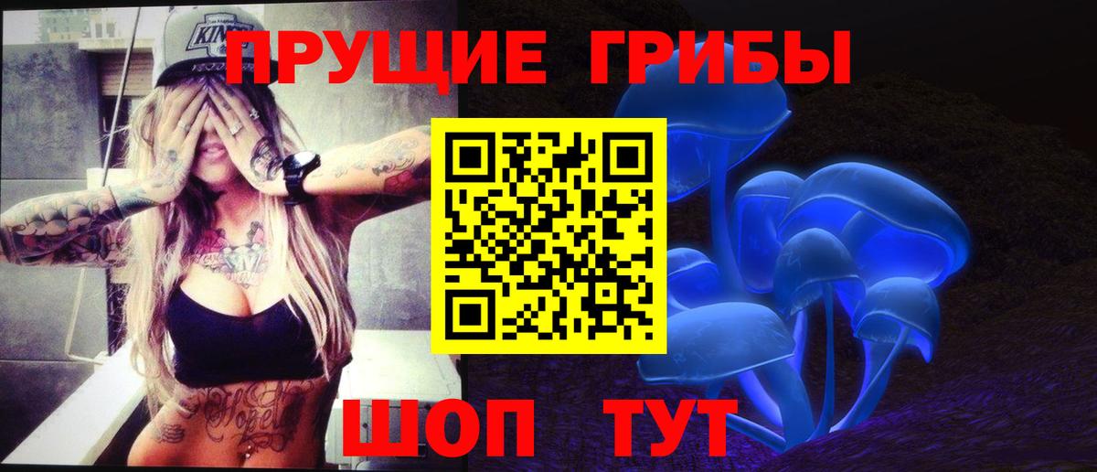 Псилоцибиновые грибы Psilocybe Острогожск