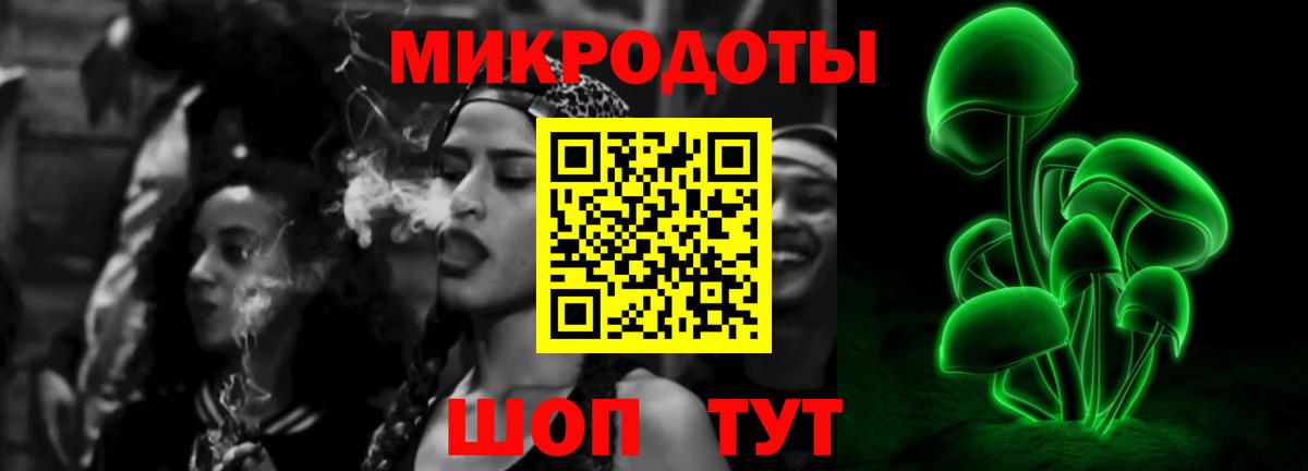 Галлюциногенные грибы Psilocybine cubensis Острогожск
